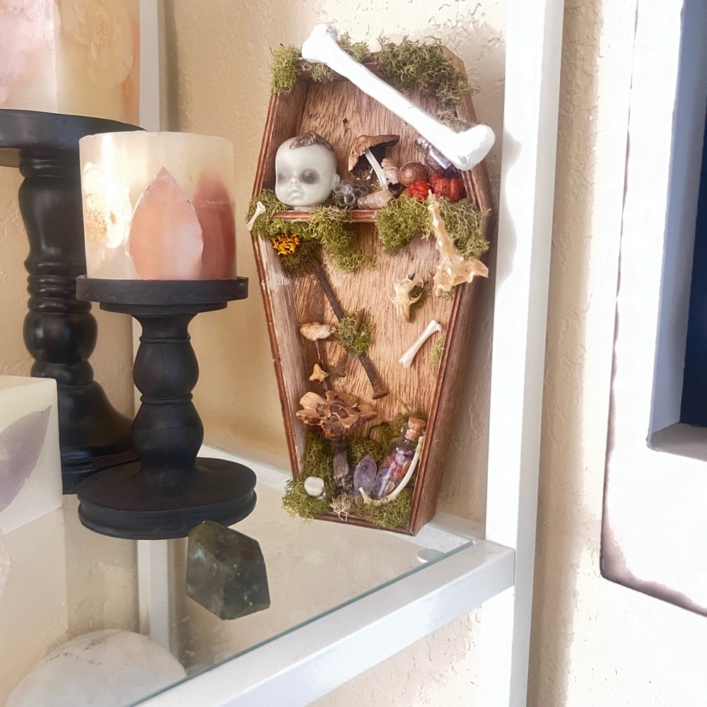 Rustic Coffin Wall Decor with Moss Accents